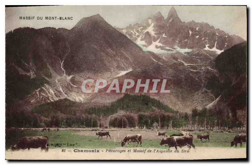 Chamonix - Pâturages et Massif de l'Aiguille du Drû - Édition Luz, n°81