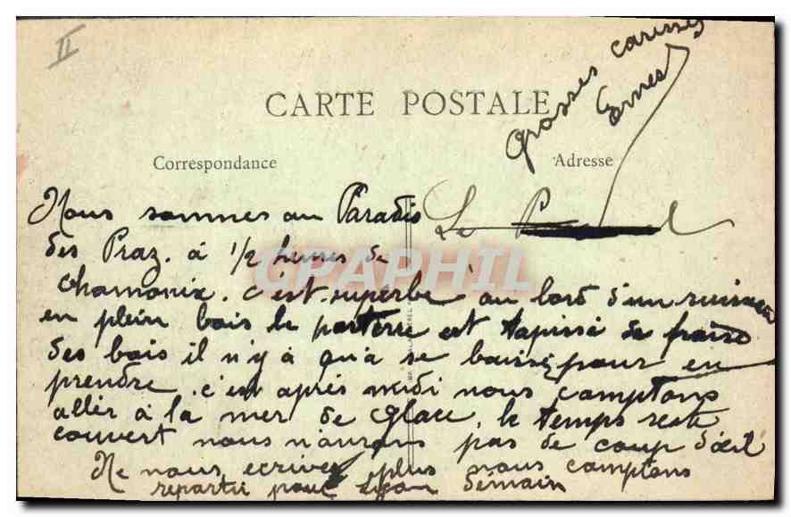 Chamonix - Pâturages et Massif de l'Aiguille du Drû - Édition Luz, n°81 — Verso