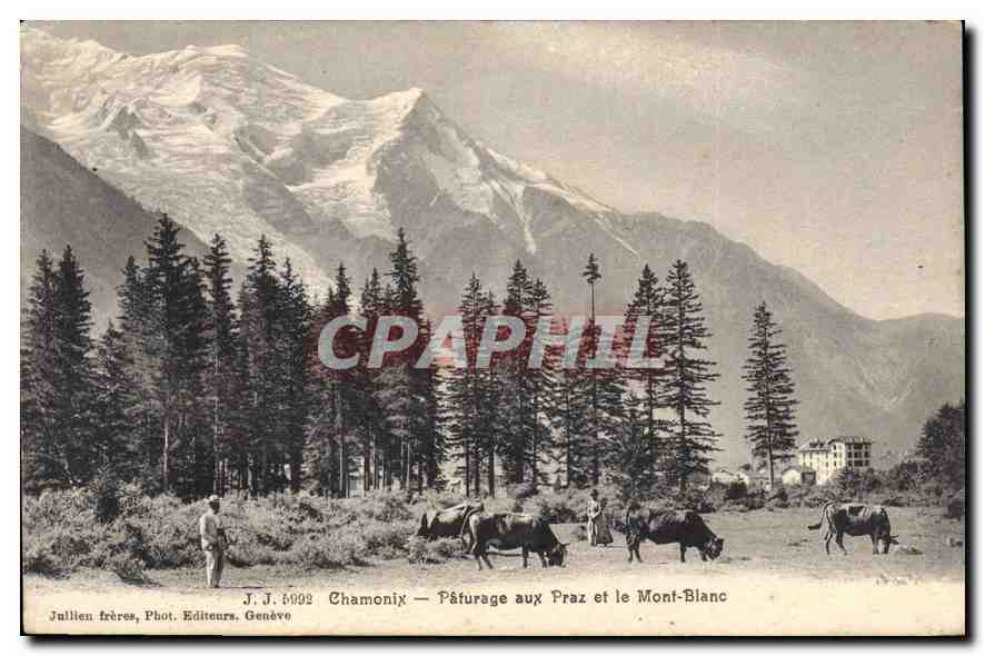 CPA Chamonix Paturage aux Prz et le Mont Blanc