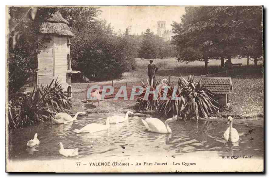 CPA Valence (Drome) Au parc Jouvet Les Vosges cygnes