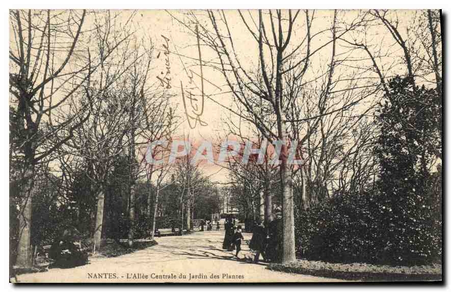 CPA Nimes L'Allee du Jardin des Plantes