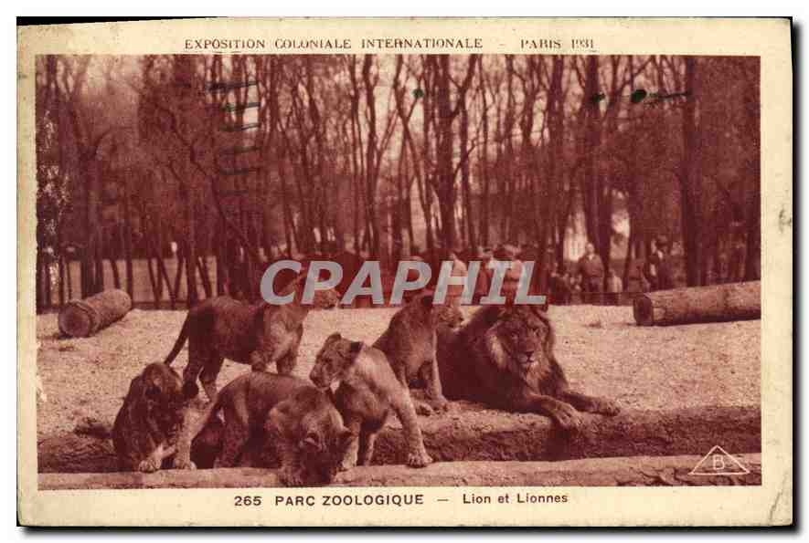 CPA Parc Zoologique Lion et Lionnes Paris Exposition coloniale internationale 1931