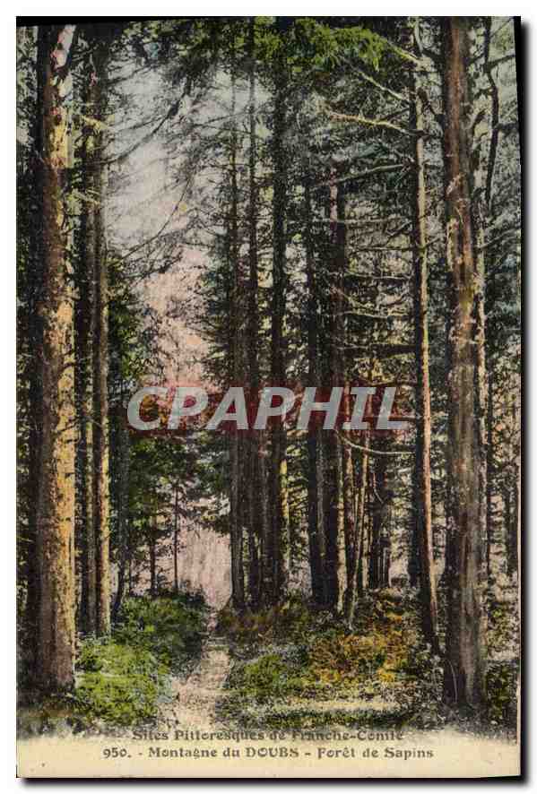 CPA Sites Pittoresques de France Conte Montagne du Doubs Foret de Sapins