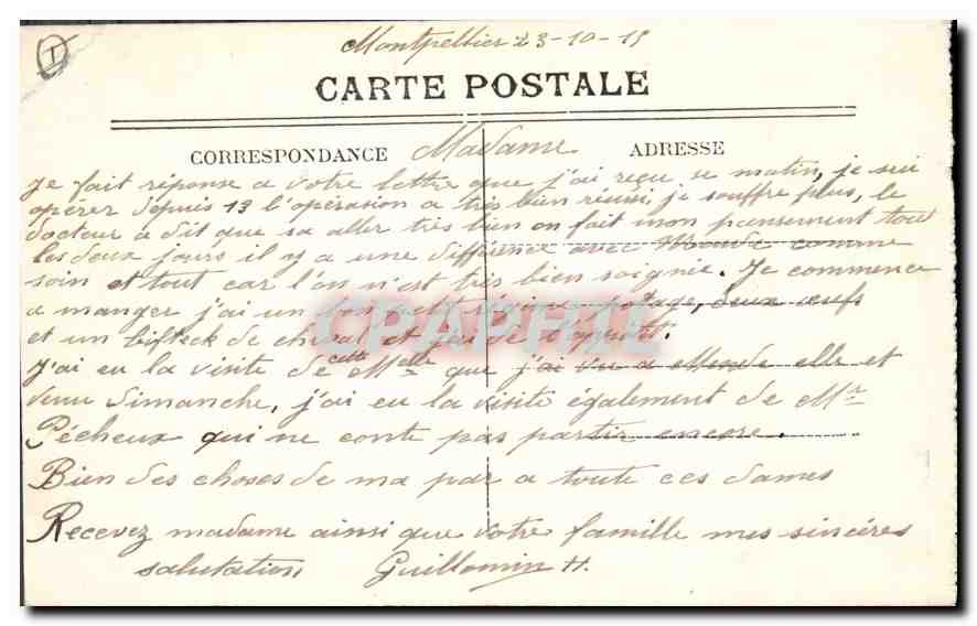 CPA Montpellier Un Coin du Parc de l'Esplanade Statue La Prairie — Rückseite