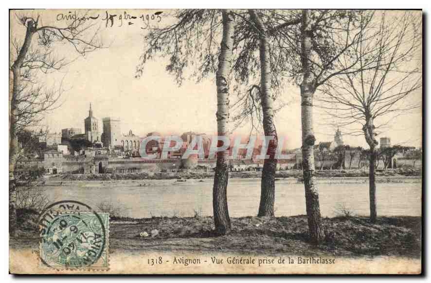 CPA Avignon (Vaucluse) Vue generale prise de la Barthelasse