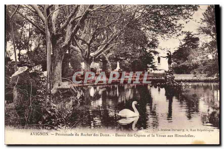 CPA Avignon (Vaucluse) Promenade du Rocher des Doms