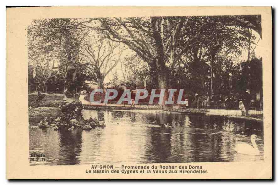 CPA Avignon Promenade du rocher des Doms le Bassin des cygnes et la Venus aux Hirondelles 