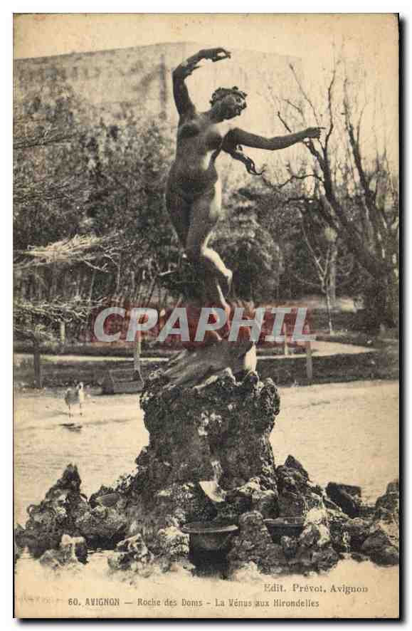 CPA Avignon Roche des Doms la Venus aux Hirondelles 