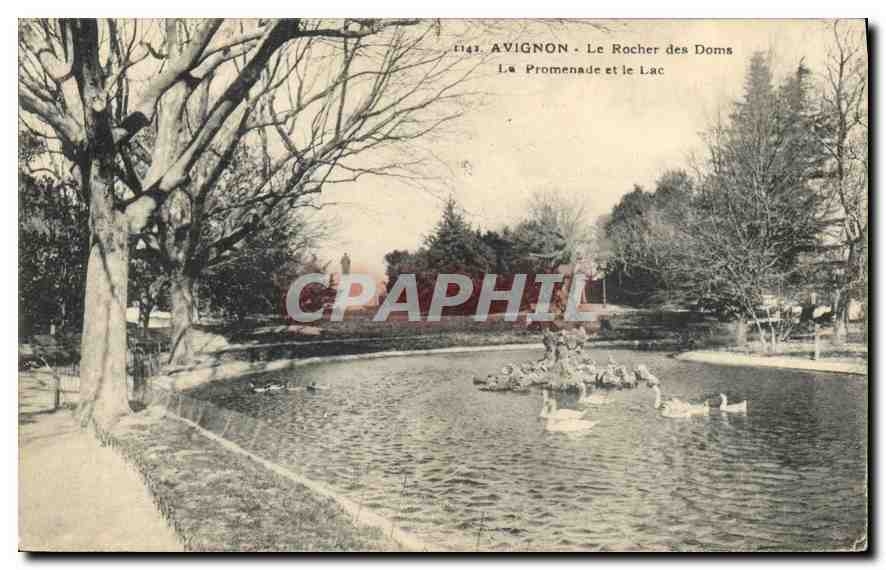 CPA Avignon le Rocher des Doms la Promenade et le Lac 