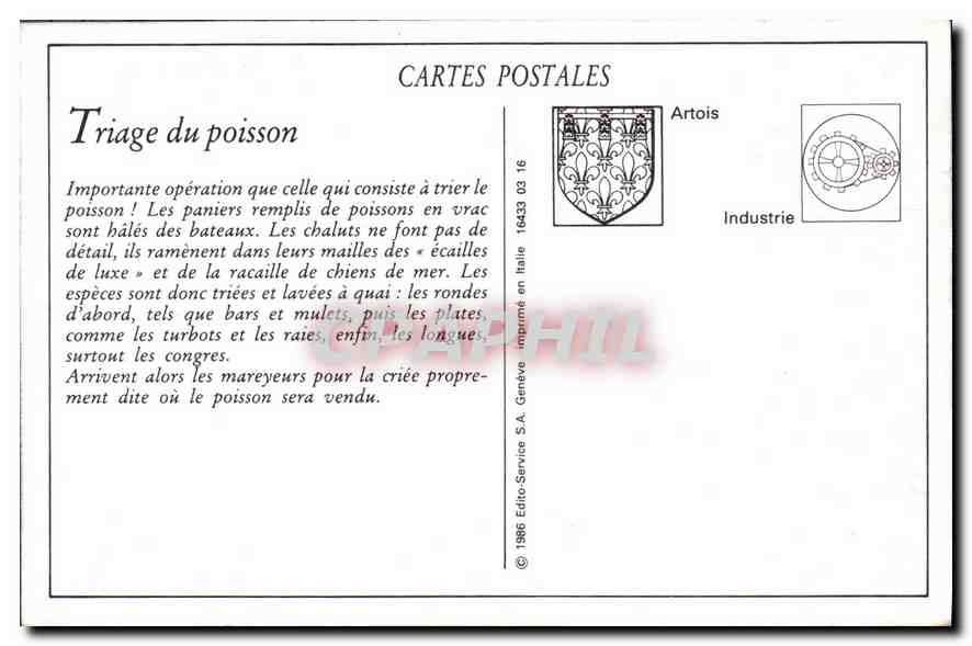 REPRO Boulogne sur Mer Le Triage du Poisson avant la Criee  — Rückseite