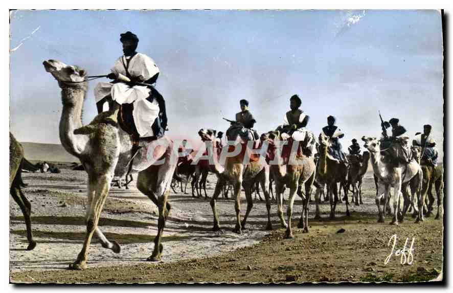 CPA Maroc Pittoresque Defile des Meharistes 