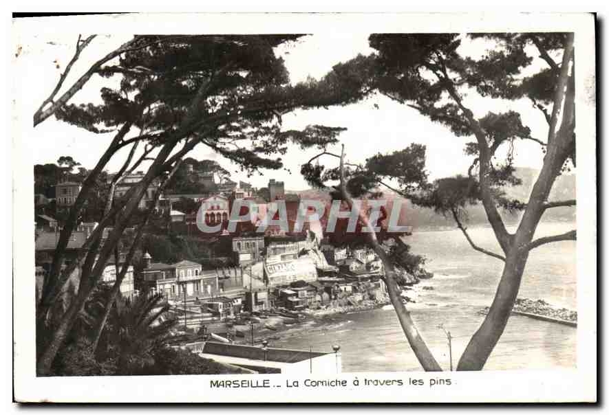 CPA Marseille La Corniche a travers les pins 