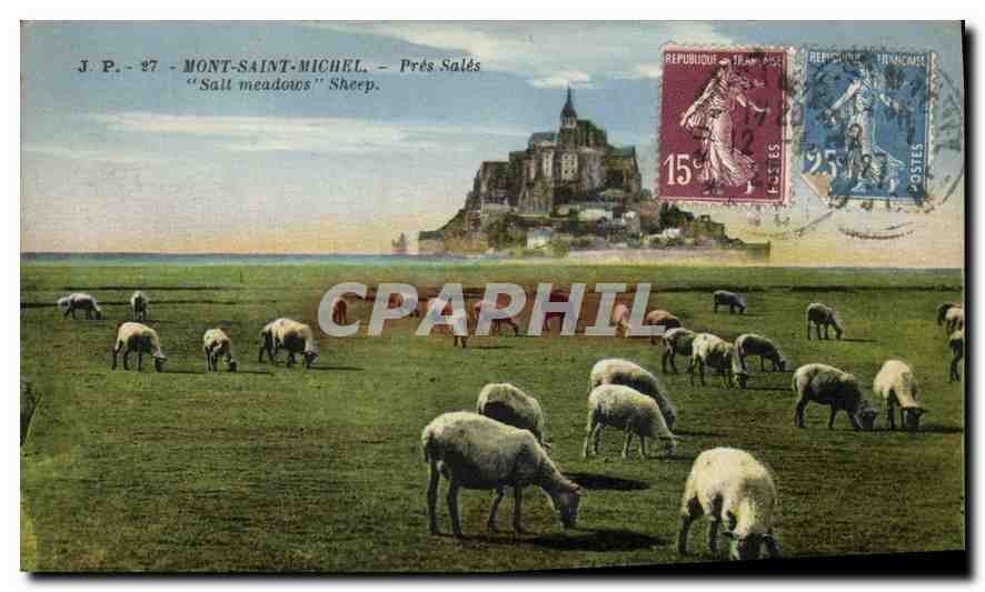 Mont-Saint-Michel — Prés Salés — J.P. -87