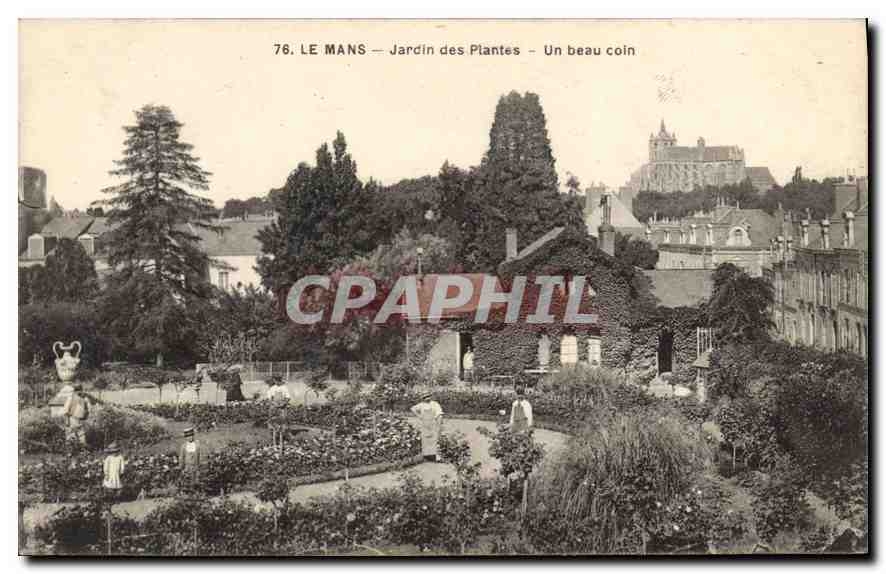 CPA Le Mans Jardin des Plantes Un Beau coin 