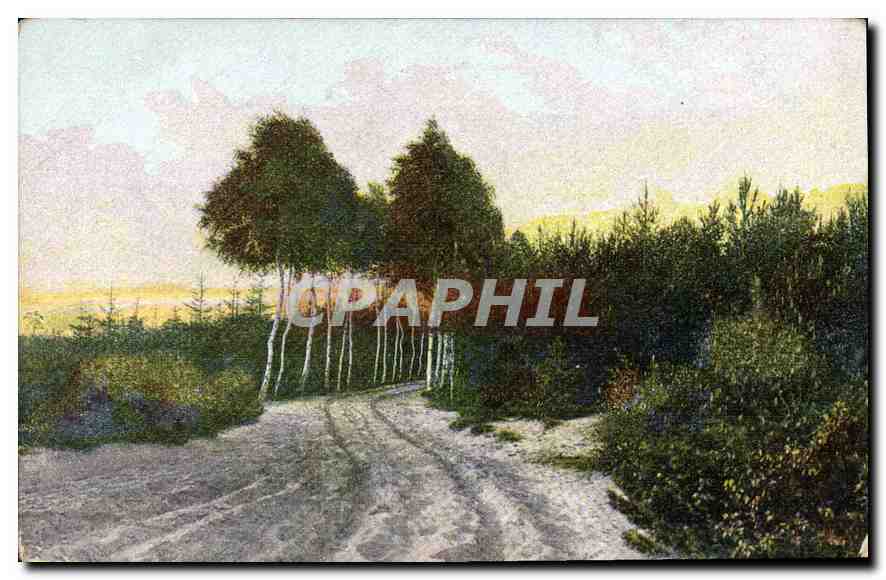 CPA Paysage 