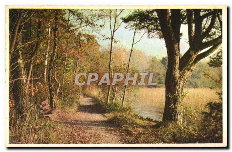 CPA Foret
