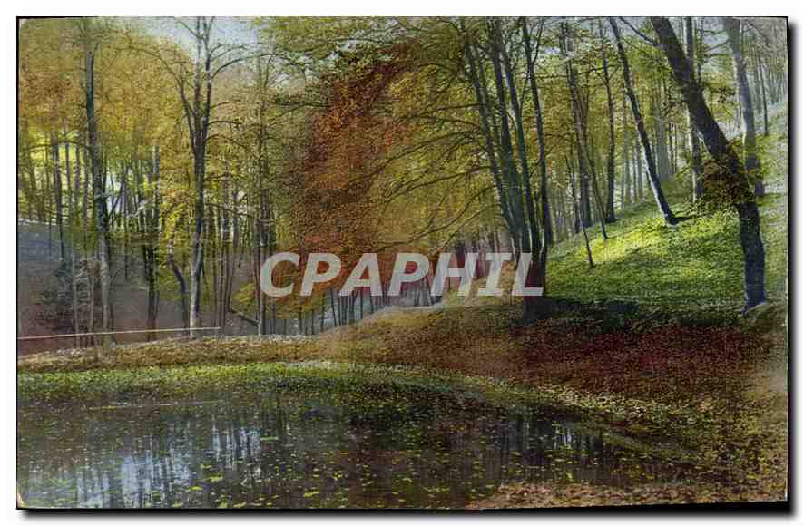 CPA Foret