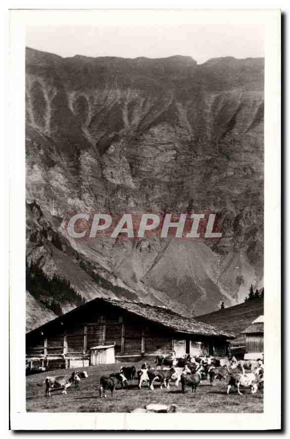CPA Alpage de Savoie sous les cretes de la Chaine du July 