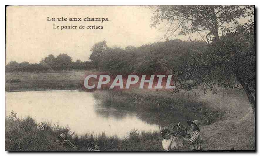 CPA La vie aux champs Le panier de cerises 