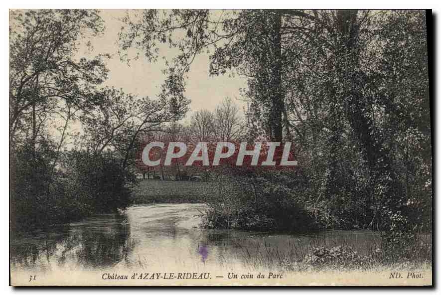 CPA Chateau d'Azay Le Rideau Un coin du Parc 
