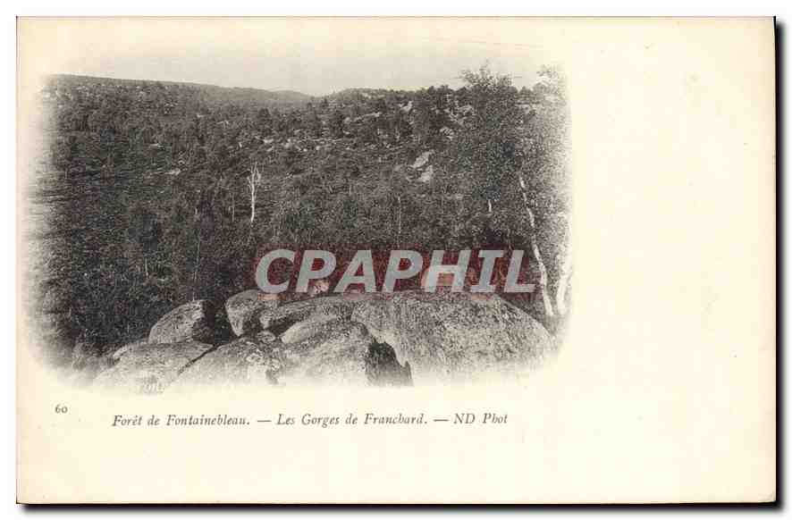 Wald von Fontainebleau — Die Gorges de Francbard — ND Phot