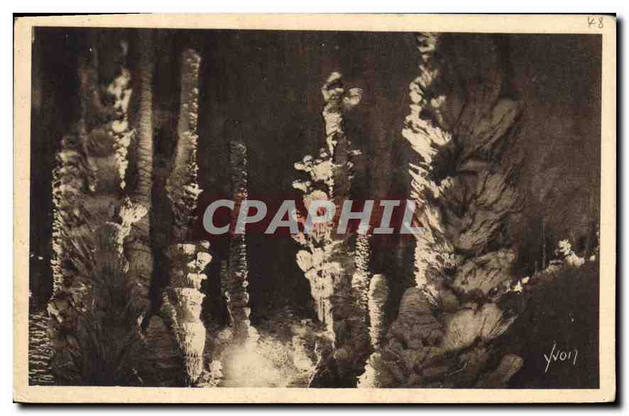 CPA Aven Armand Lozere Entree de la Foret Vierge 