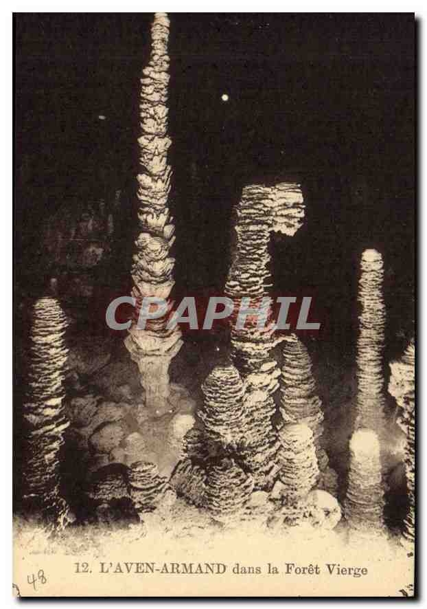 CPA L'Aven Armand dans la Foret Vierge 