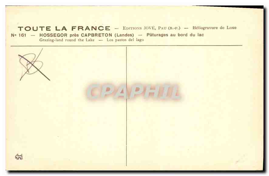 CPA Hossegor pres Capbreton Landes Paturages au bord du lac Moutons — Verso