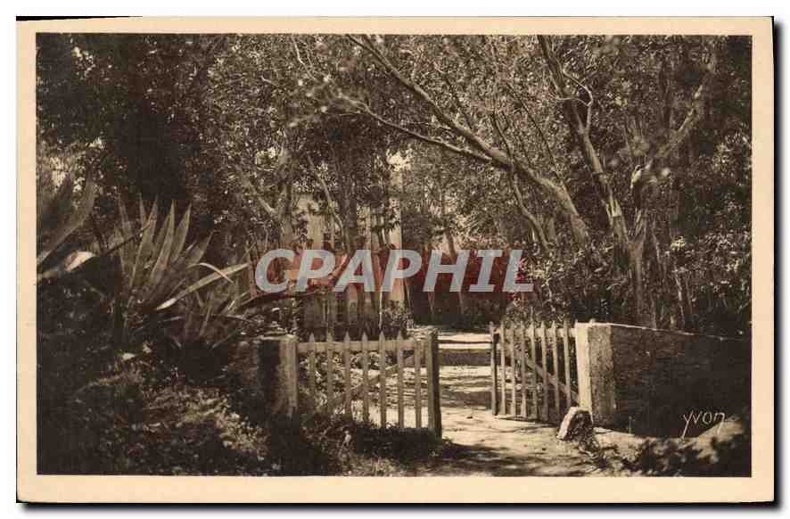 CPA Le Manoir d'Helene et de Jean d'Agreve dans un hameau fremissant d'Eucalyptus elances 