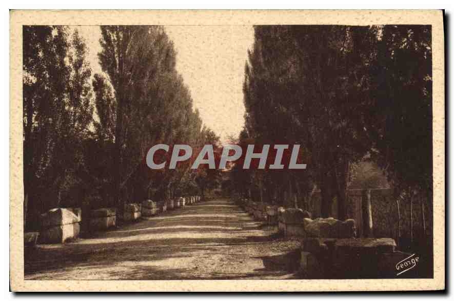 Les Alyscamps - Allée des Tombeaux — Arles-sur-Rhône — Édit. J. George