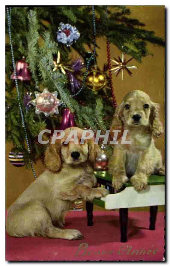 CPA Bonne Annee Chiens Chien
