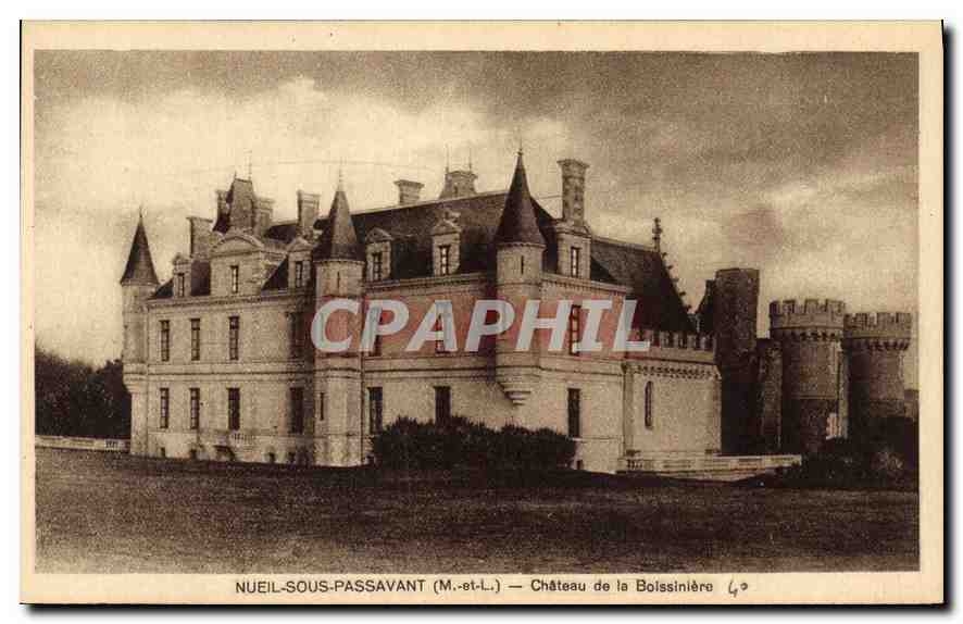 CPA Neuil Sous Passavant Chateau de la Boissiniere 