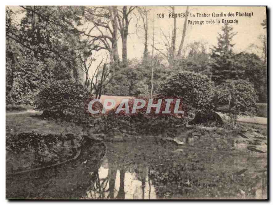 CPA Rennes La Thabor Jardin des Plantes Paysage pres la Cascade 