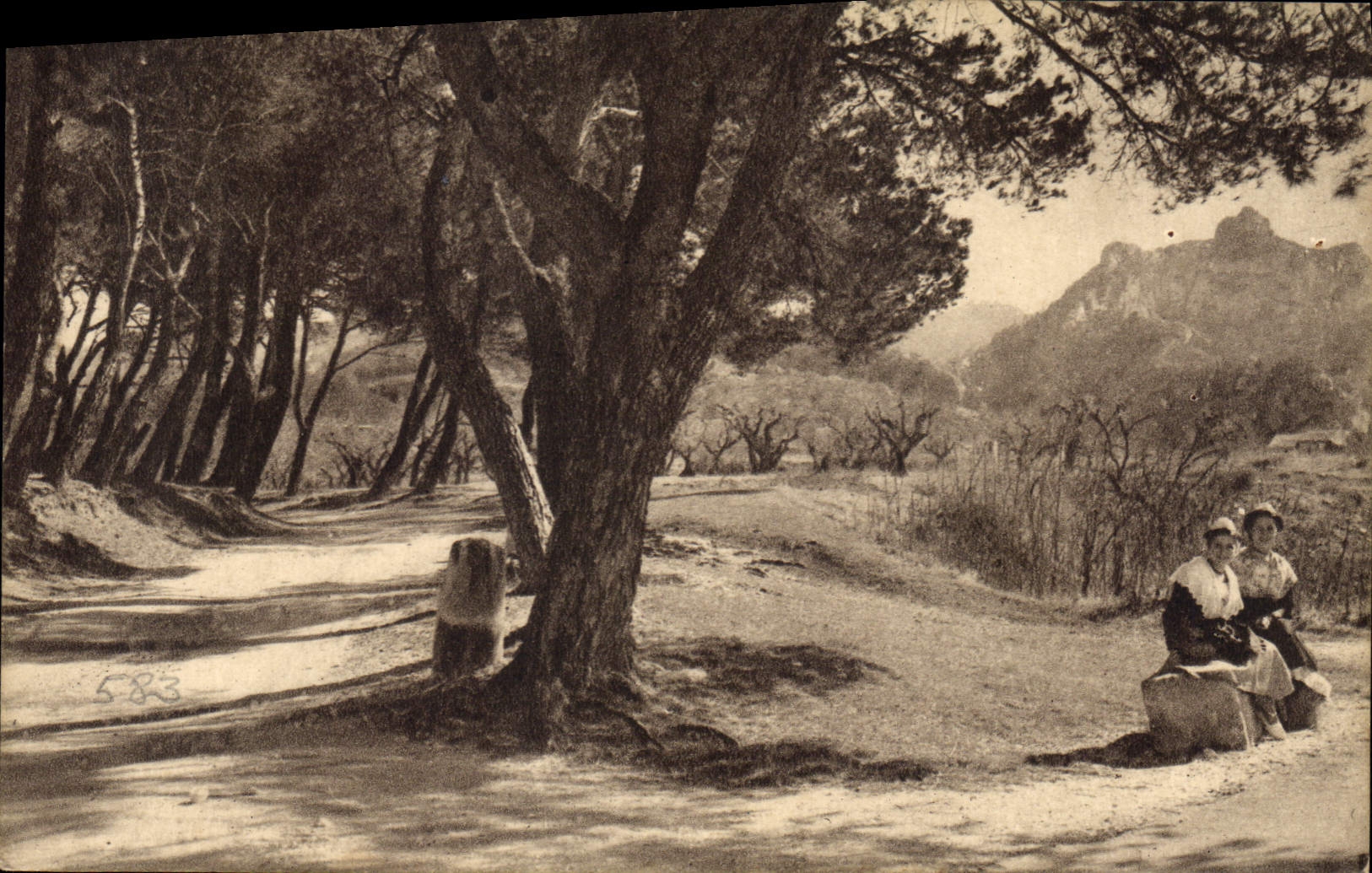 Provençalische Landschaft in Si-Rémy — Allee von Si-Paul und Mont-Gaussier — Photo George, Arles