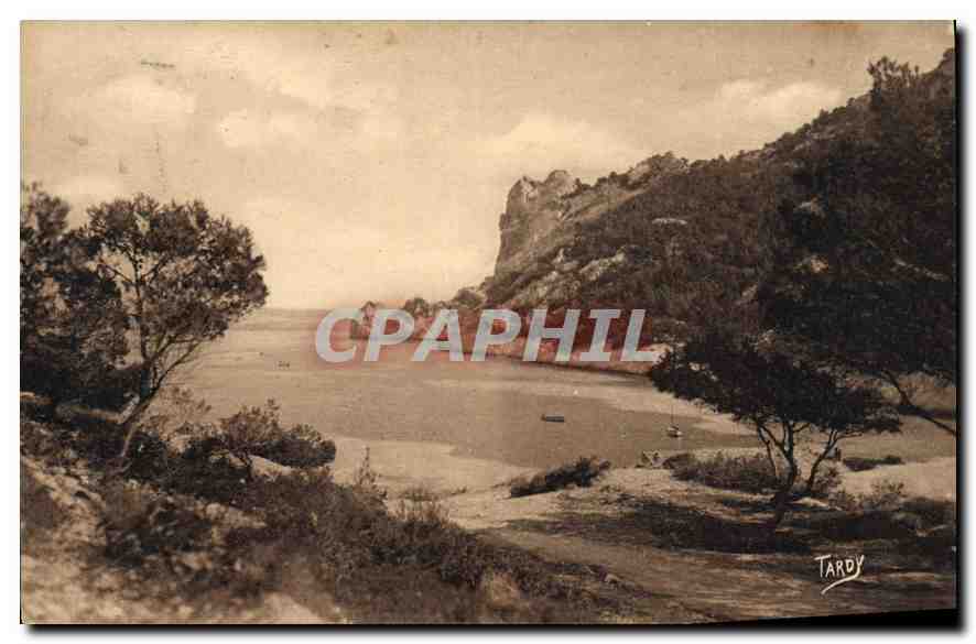 CPA Sites de Provence Littoral de Marseille Sormiou la Grande Plage 