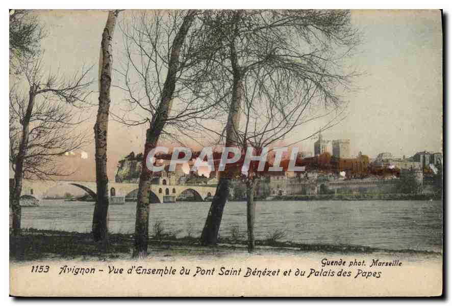 CPA Avignon vue d'ensemble du Pont Saint Benezet et du Palais des Papes 