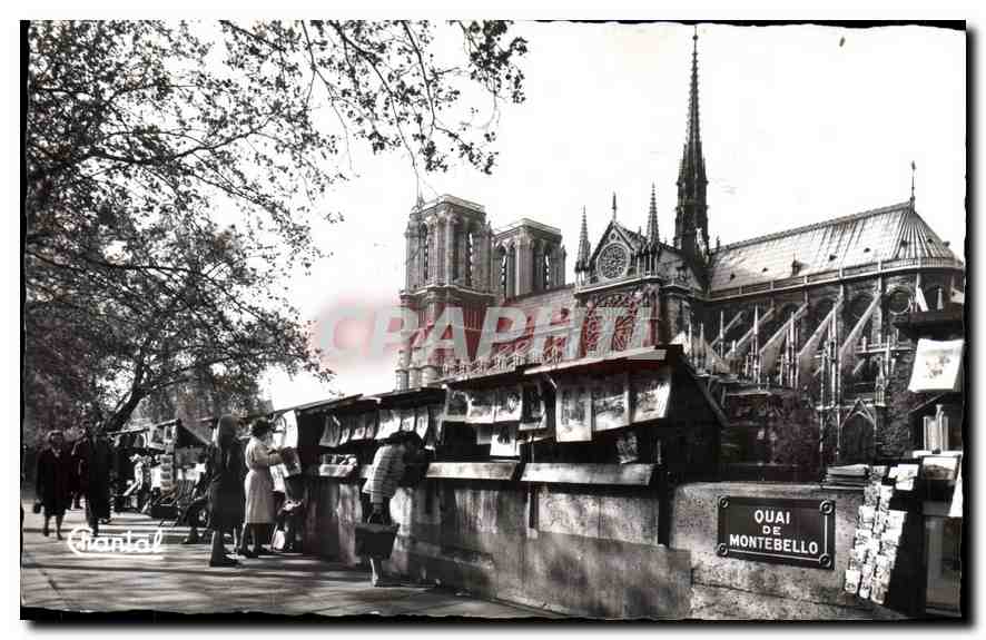 CPA Paris Notre Dame Les Bouquinistes Quai de Montebello