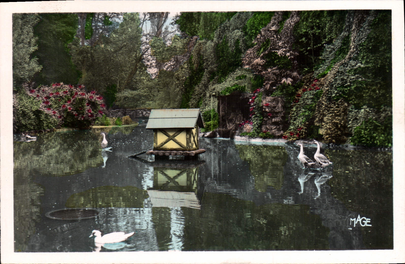 CPM Saint Omer P de C Les Jardins Le Lac 
