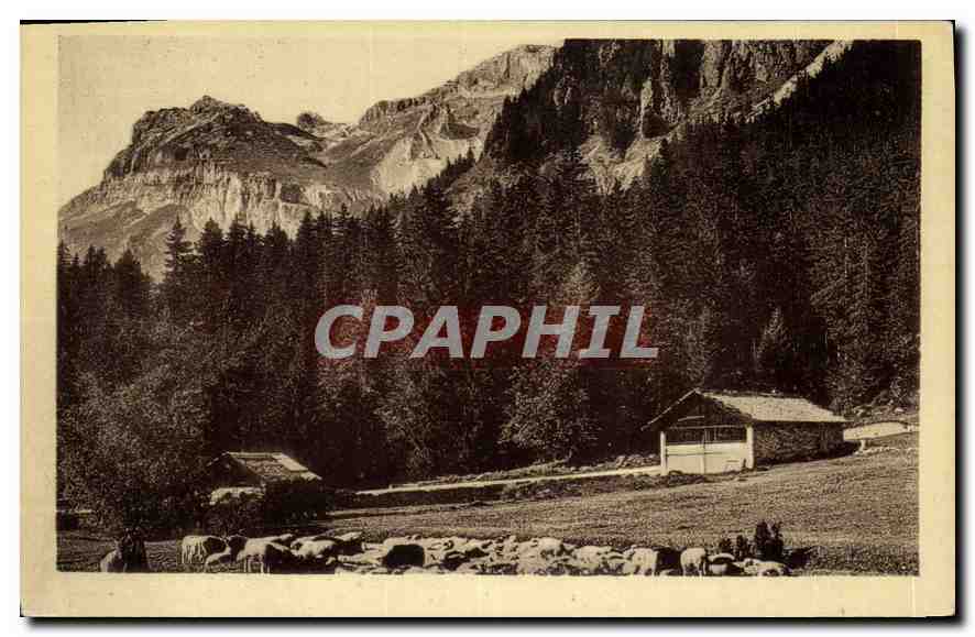 CPM Plaine Joux et les Aiguilles de Warens 
