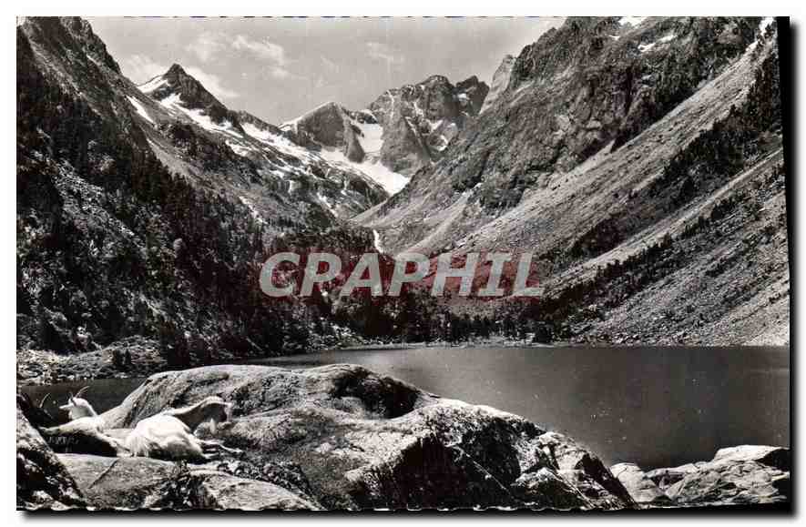 CPM Les Pyrenees Le Lac de Gaube Au fond Massif de Vigenemale 