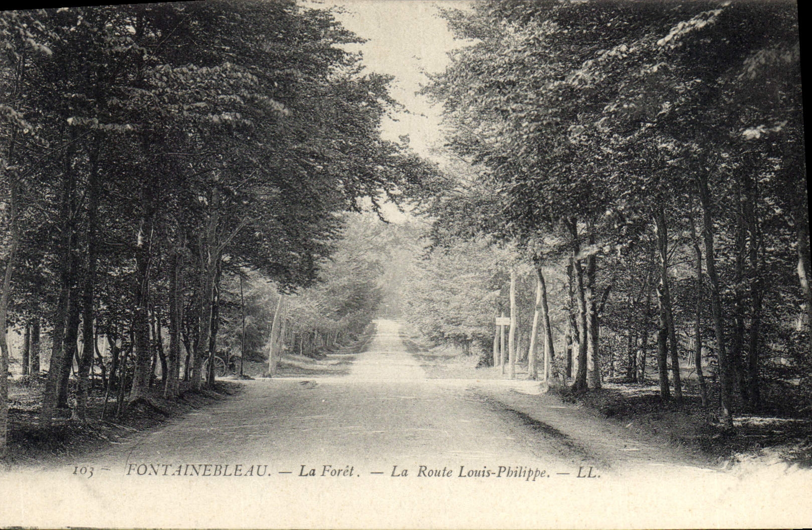 Fontainebleau — La Forêt — La Route Louis-Philippe — LL. — N° 103
