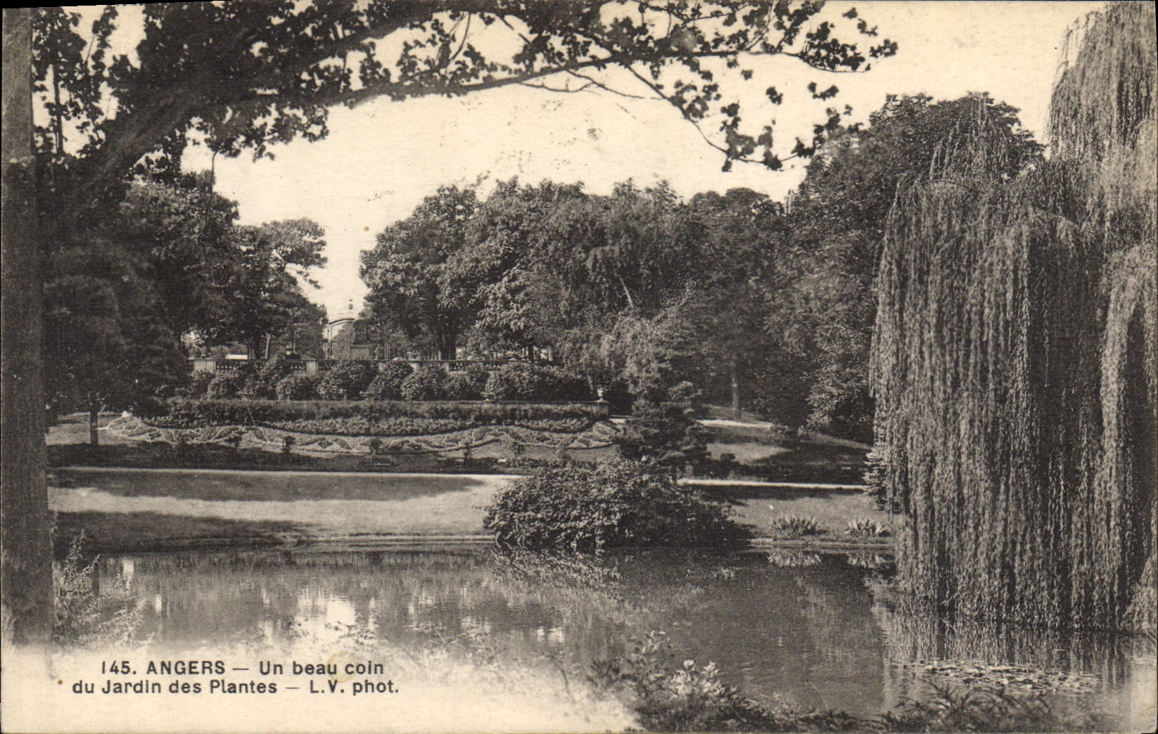 CPA Angers Un Beau coin du Jardin des Plantes 