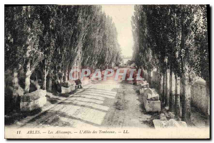 CPA Arles Les Aliscamps L'Allee des Tombeaux 
