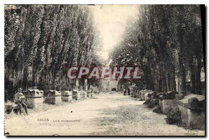 CPA Arles Les Aliscamps 
