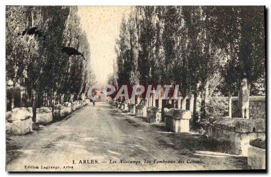 CPA Arles Les Aliscamps Les Tombeaux des Consuls 