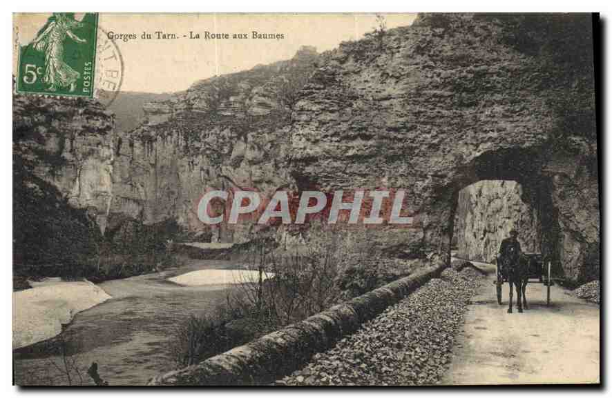 CPA Gorges du Tarn La Route aux Baumes 