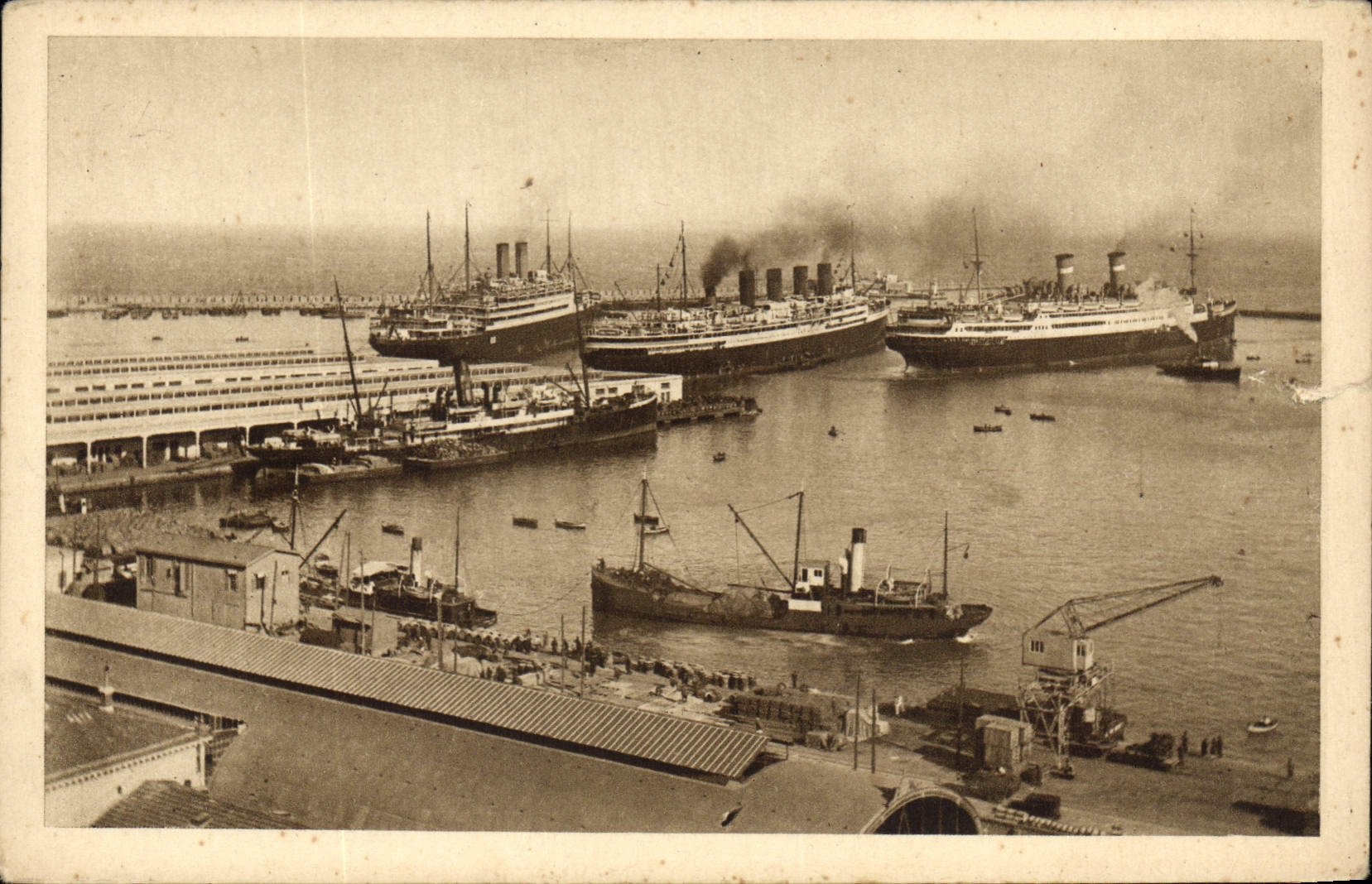 CPA Alger Port d'escale Navires de Tourisme Bateaux
