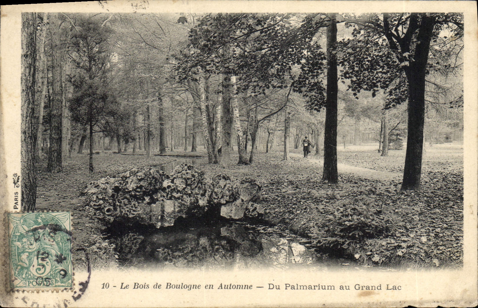 CPA Le Bois de Boulogne en Automne Du Palmarium au Grand Lac 
