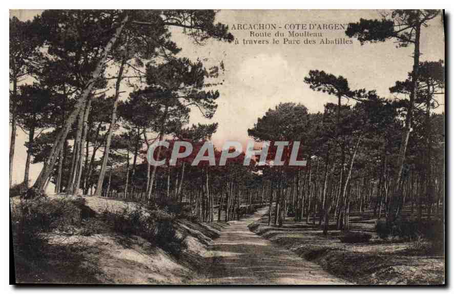 Arcachon - Côte d'Argent - Route du Mouilleau durch den Parc des Abatilles
