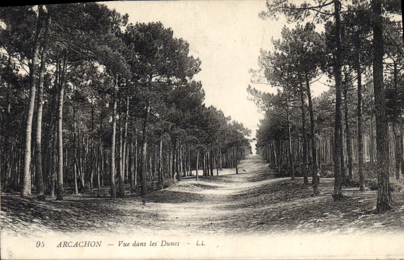 Arcachon — Vue dans les Dunes — LL